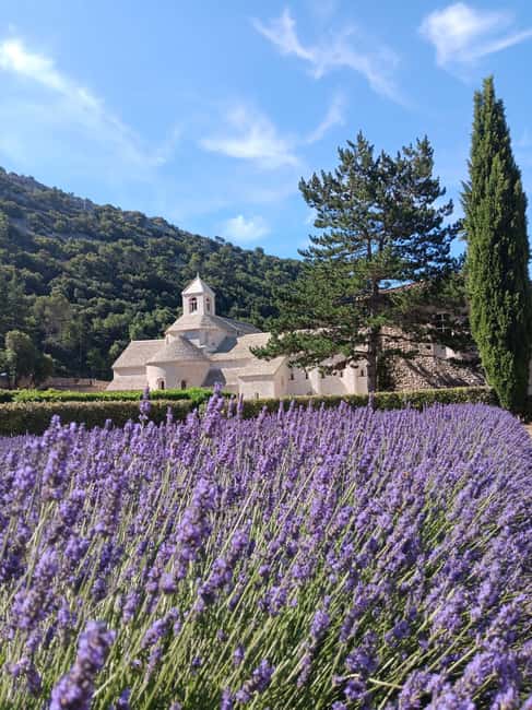 From Avignon: Half-Day Lavender Tour of Luberon - Roussillon: 45 Minutes to Chase Ochre Color