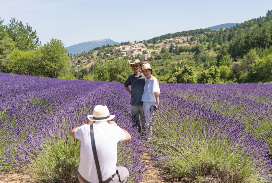 From Avignon: Half-Day Lavender Tour of Luberon - Meeting at Avignon and the Minibus Rideout