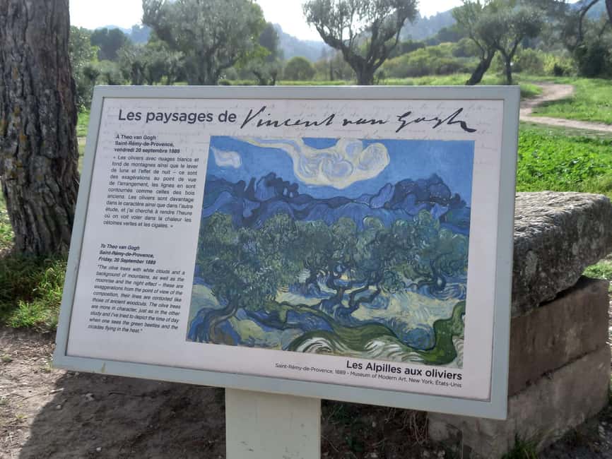 From Avignon: In the Footsteps of Van Gogh in Provence - Who this tour suits best (and who should look elsewhere)