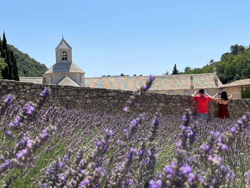 From Avignon: Lavender Tour around Valensole or Sault - Key points to know before booking