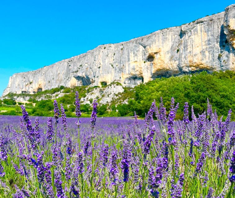 From Avignon: Lavender Tour around Valensole or Sault - Valensole route: St. Croix Lake before the lavender
