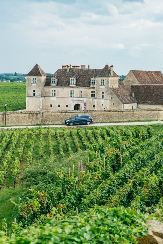 From Beaune: Burgundy Day Trip with 14 Wine Tastings - Beaune pickup at 9:30 and the small-van advantage