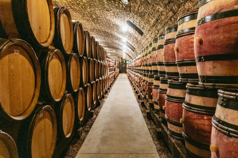 From Beaune: Burgundy Day Trip with 14 Wine Tastings - Nuits-Saint-Georges: a cellar visit and winemaker conversation around Pinot Noir