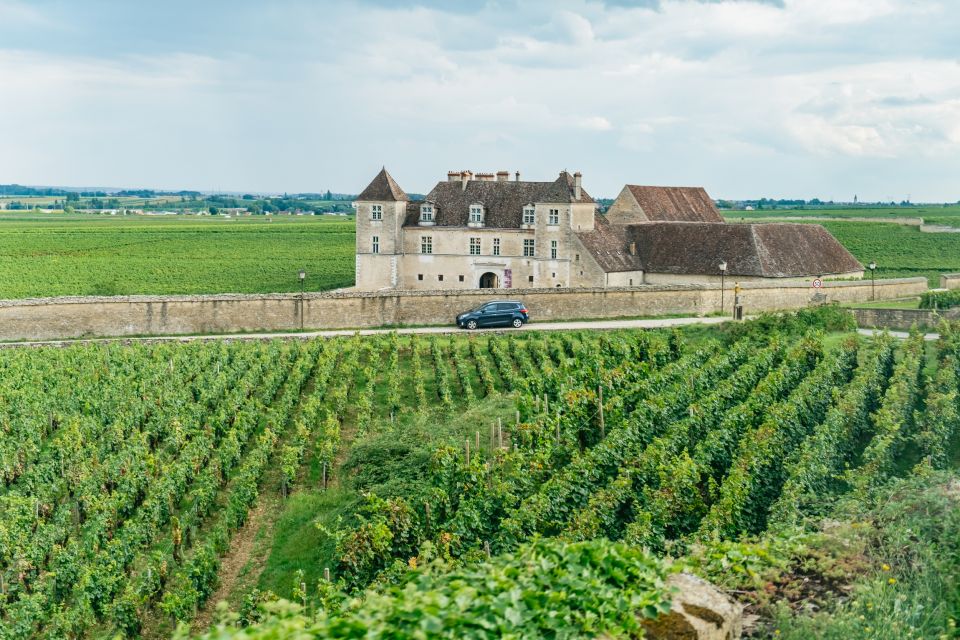 From Beaune: Burgundy Day Trip with 14 Wine Tastings - The Beaune winery start: learning Burgundy levels by tasting