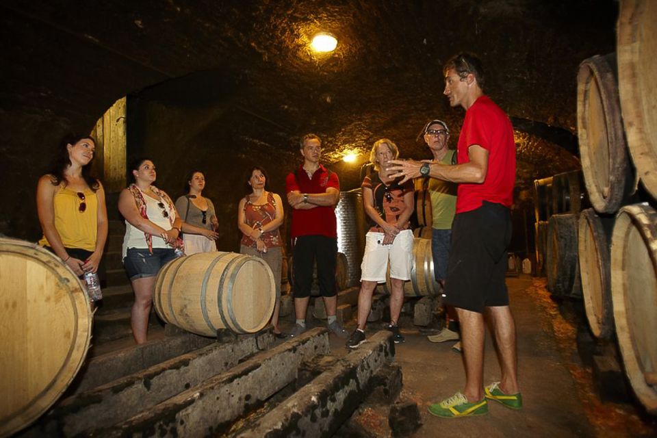 From Beaune: Full-Day Bicycle and Wine Tour in Burgundy - Key Highlights You’ll Actually Feel