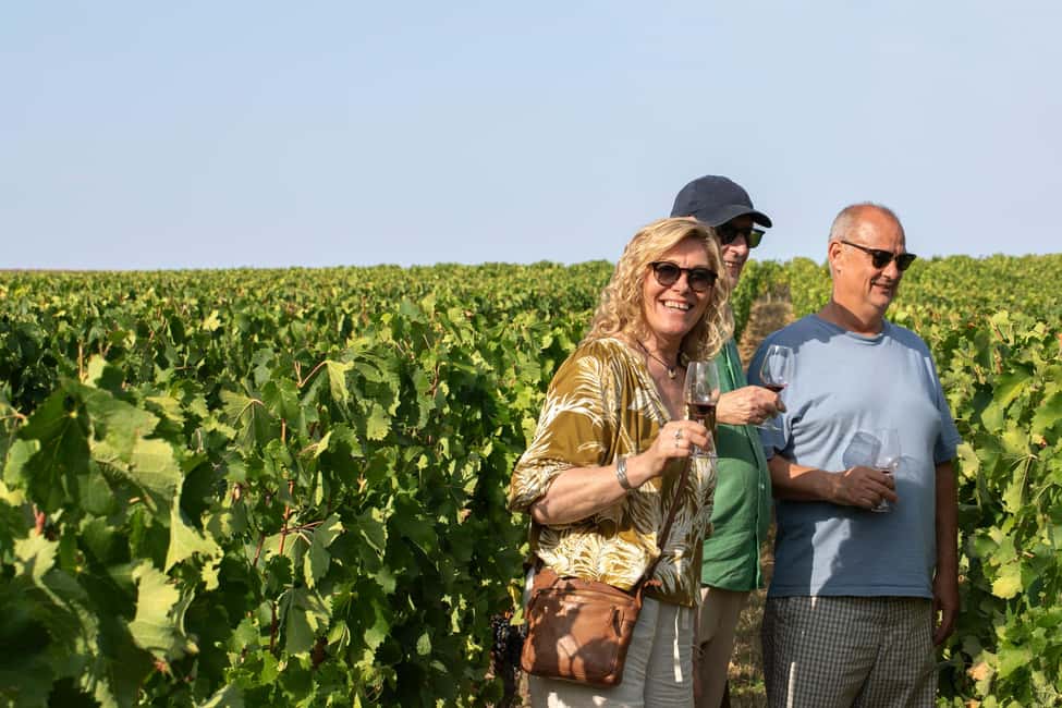 From Bordeaux: Afternoon Saint-Emilion Wine Tasting & snack - Key Highlights You’ll Care About