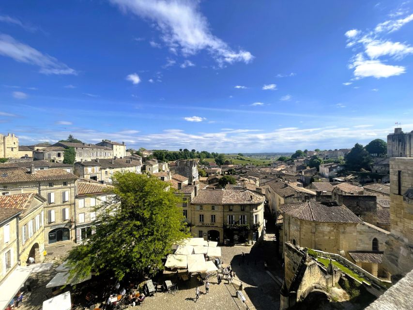 From Bordeaux: Afternoon Saint-Emilion Wine Tasting & snack - From the Girondins Column to Saint-Émilion: A Smooth Start
