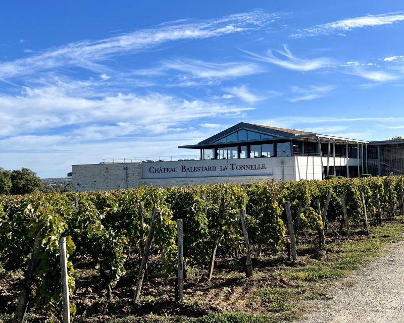 From Bordeaux: Afternoon Saint-Emilion Wine Tasting & snack - The Tasting Class: 3 to 4 Saint-Émilion Wines, Explained