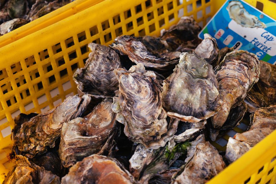 From Bordeaux: Arcachon Bay Full Day Tour and Oyster Lunch - Gujan-Mestras oyster lunch: how the bay turns into your meal