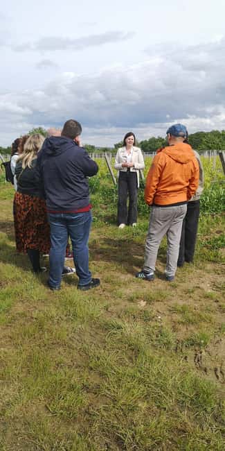 From Bordeaux: Bordeaux wine tour off the beaten path - Why This Four-Hour Wine Tour Feels Like a Full Experience