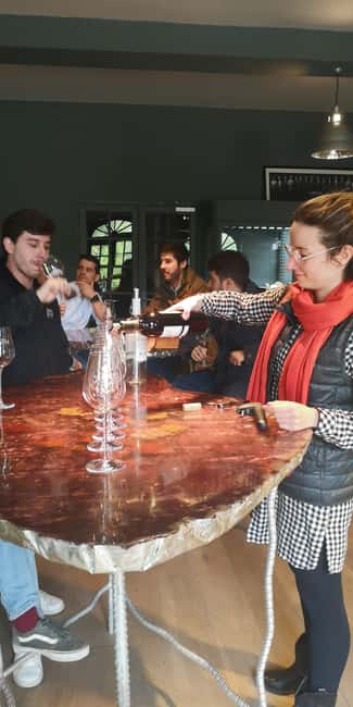 From Bordeaux: Bordeaux wine tour off the beaten path - Sadirac and Cadaujac Timing: When the Van Trips Actually Help
