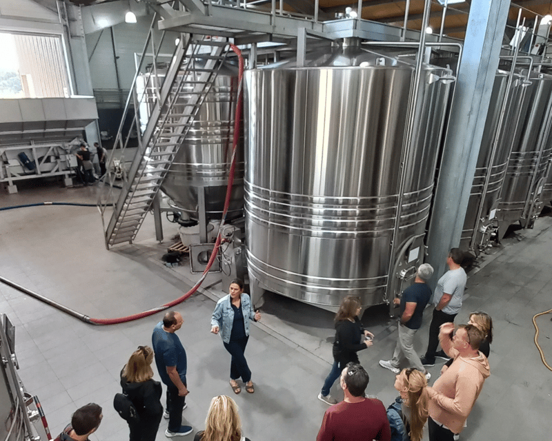 From Bordeaux: Bordeaux wine tour off the beaten path - What Organic Means Here (and Why You Should Care)