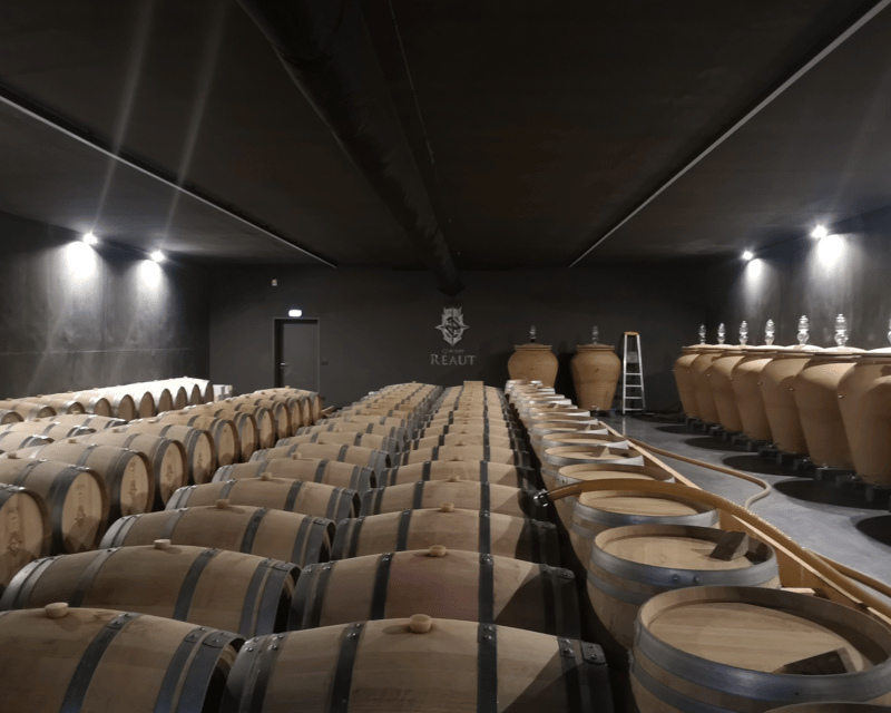 From Bordeaux: Bordeaux wine tour off the beaten path - Red-and-White Range: How You Avoid the Usual Bordeaux Trap