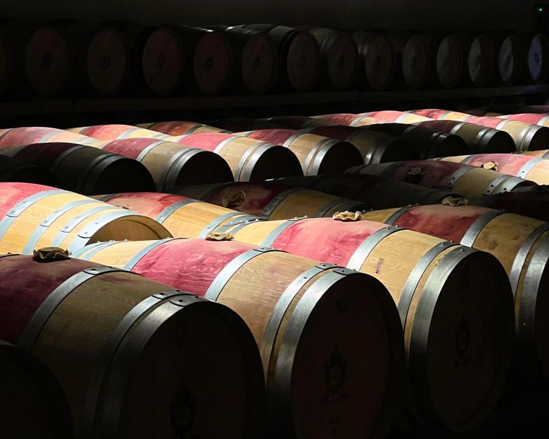 From Bordeaux: Essential Morning Tour with Wine Tasting - Should you book this Essential Morning Tour with Wine Tasting?