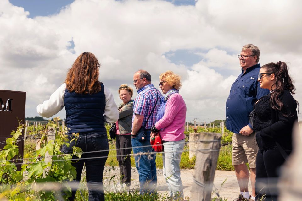 From Bordeaux: Essential Morning Tour with Wine Tasting - The Van Ride: how your guide turns Bordeaux into something you can taste