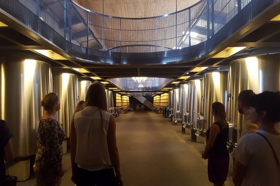 From Bordeaux: Full-Day Medoc Wine Tour - Pauillac break: free time plus another tasting moment