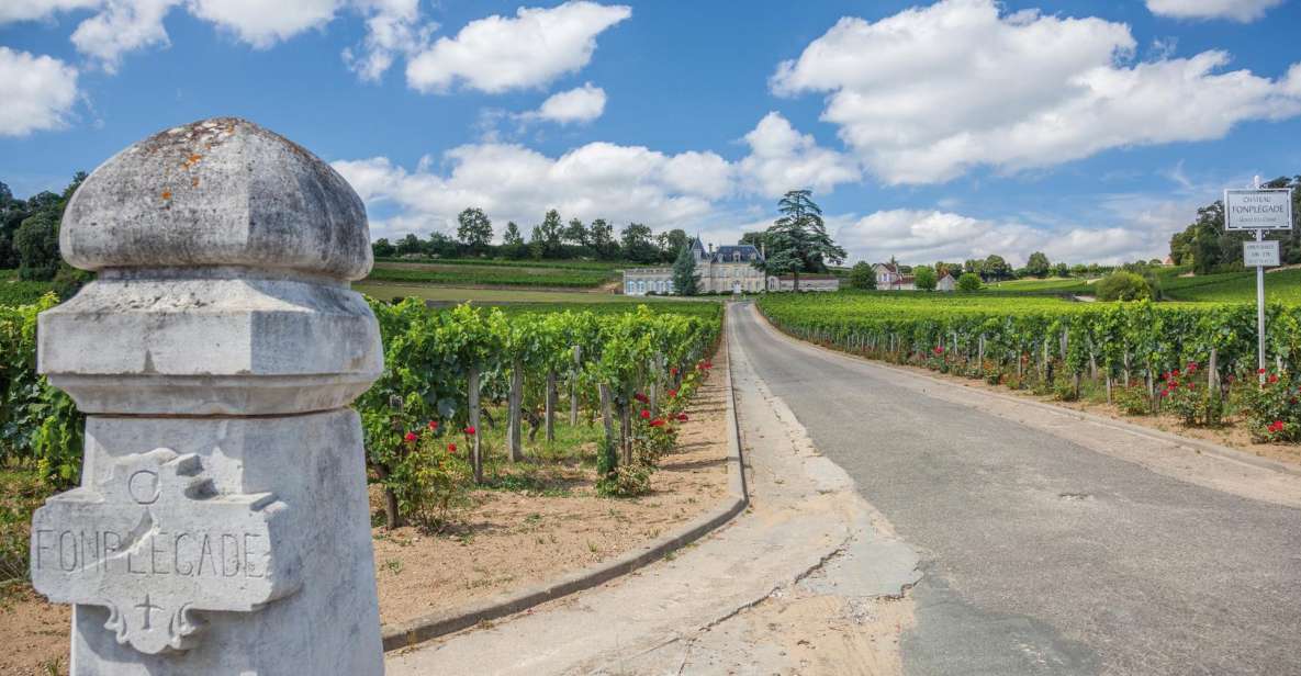 From Bordeaux: Full-Day St Emilion Wine Tasting Tour - Key highlights worth marking on your map