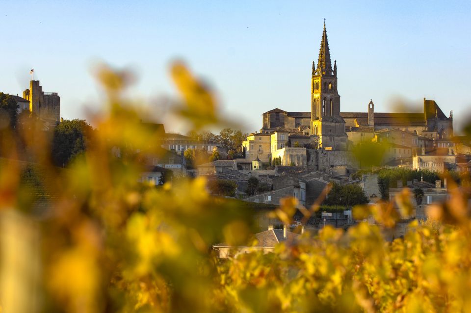 From Bordeaux: Full-Day St Emilion Wine Tasting Tour - Winery stop #2: comparing chateau styles without feeling rushed