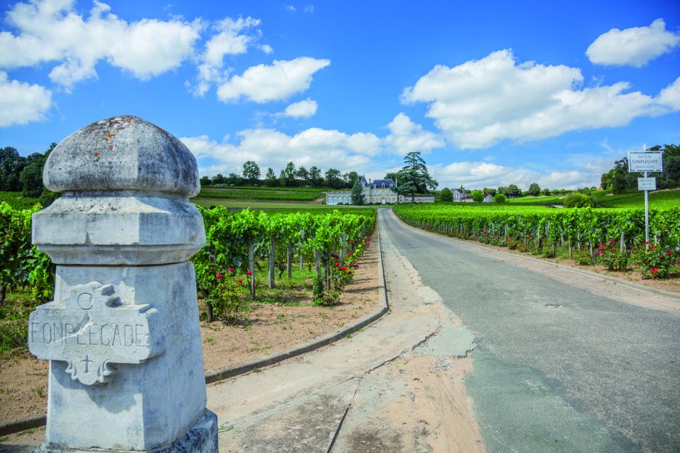 From Bordeaux: Full-Day St Emilion Wine Tasting Tour - Getting there from Bordeaux: the van ride that actually teaches you