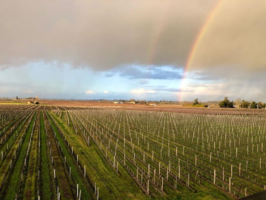 From Bordeaux: Half-Day Saint-Emilion Wine Tour - The van rides and why timing really matters here