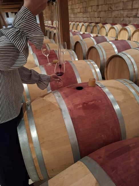 From Bordeaux: Medoc Wineries Tour with Tastings - Getting to the Medoc: why the afternoon format works