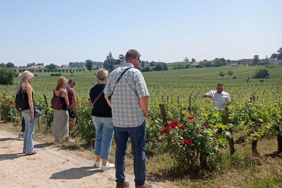 From Bordeaux: Saint-Emilion Guided Wine Tasting Tour - Group size and guide style: why small can feel personal