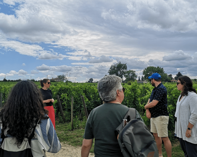 From Bordeaux: Saint-Émilion Half-Day Tour with Wine Tasting - Key highlights to look for