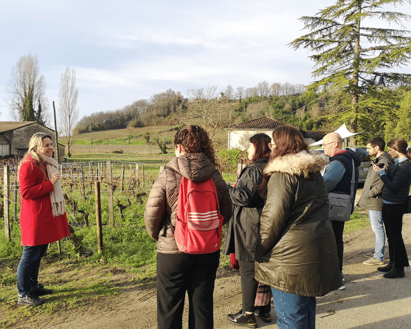 From Bordeaux: Saint-Émilion Half-Day Tour with Wine Tasting - Organic winery time: vineyard tour, cellar visit, and 3 red wines