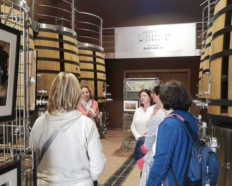 From Bordeaux: Saint-Émilion Half-Day Tour with Wine Tasting - Saint-Émilion on foot: medieval streets, market square, monuments, and views