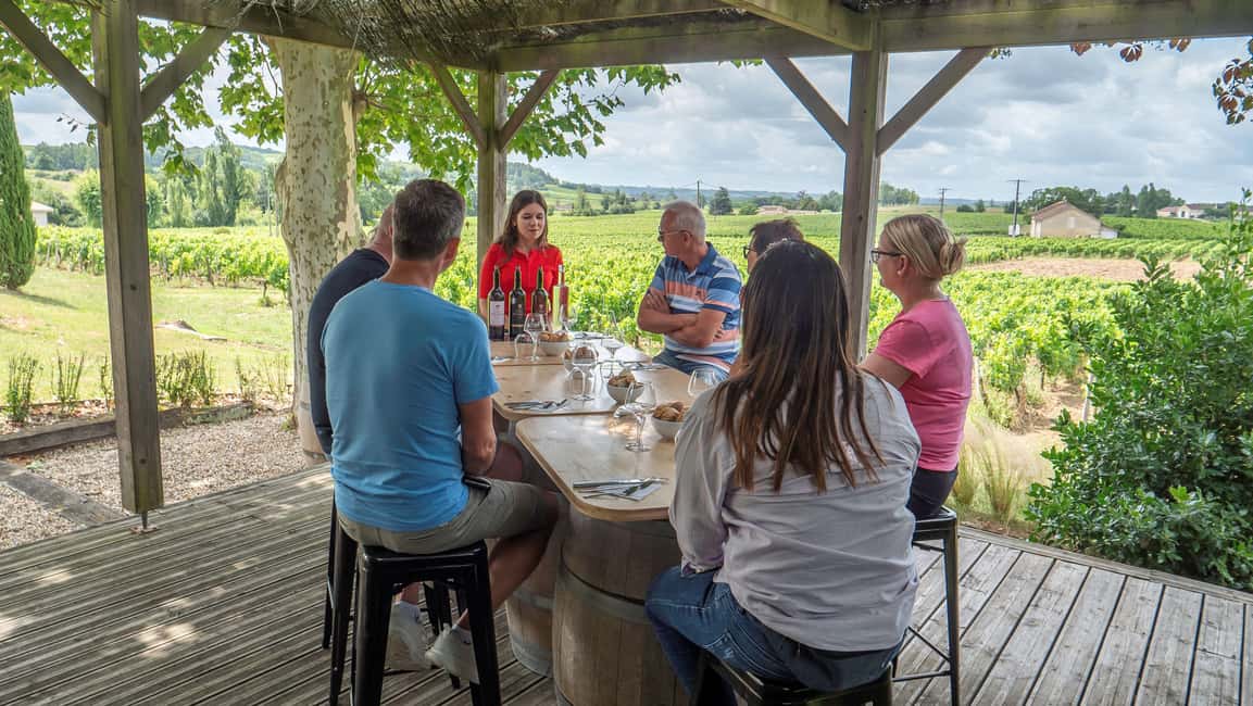 From Bordeaux: St-Emilion Day Tour with Tastings and Lunch - From Bordeaux to Saint-Émilion: why this day works