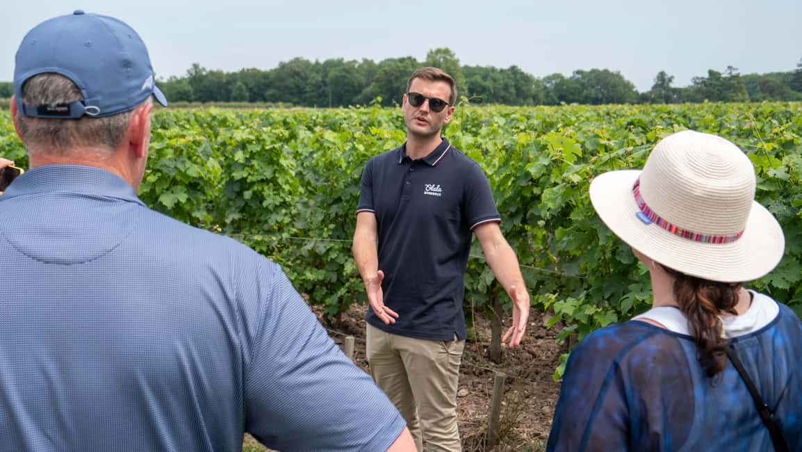 From Bordeaux: St-Emilion Day Tour with Tastings and Lunch - Small-group van logistics: comfortable, but plan for a full day