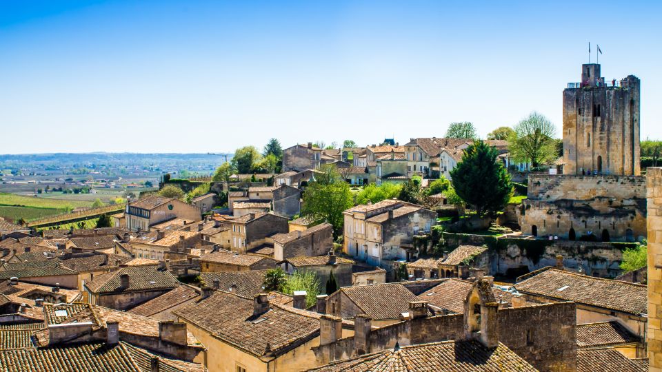 From Bordeaux: St. Emilion Village Half-Day Wine Tour - Wine tasting: how to taste smarter in a half-day schedule