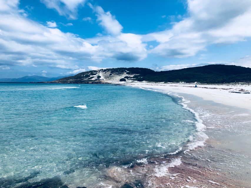 From Calvi: 4x4 Day Tour Mountain & Agriates' Saleccia Beach - Day-trip overview: 4x4 views, olive valleys, then Saleccia