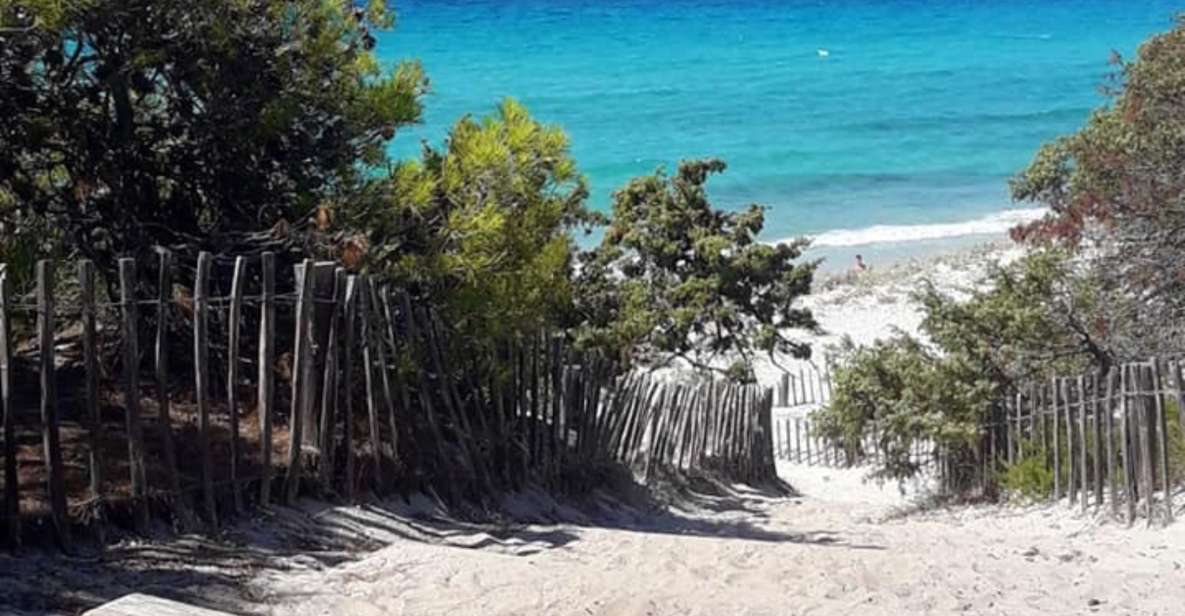 From Calvi: 4x4 Day Tour Mountain & Agriates' Saleccia Beach - Saleccia Beach in the Agriates Desert: your 2-hour swim break
