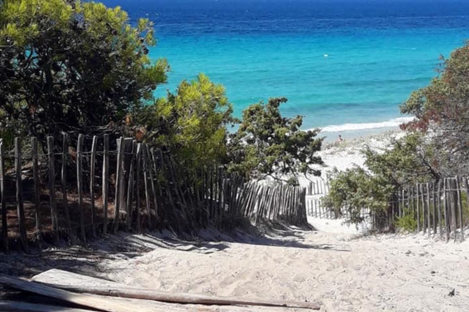 From Calvi: 4x4 Day Tour Mountain & Agriates' Saleccia Beach - Transportation and comfort: 4x4 rides and small-group energy
