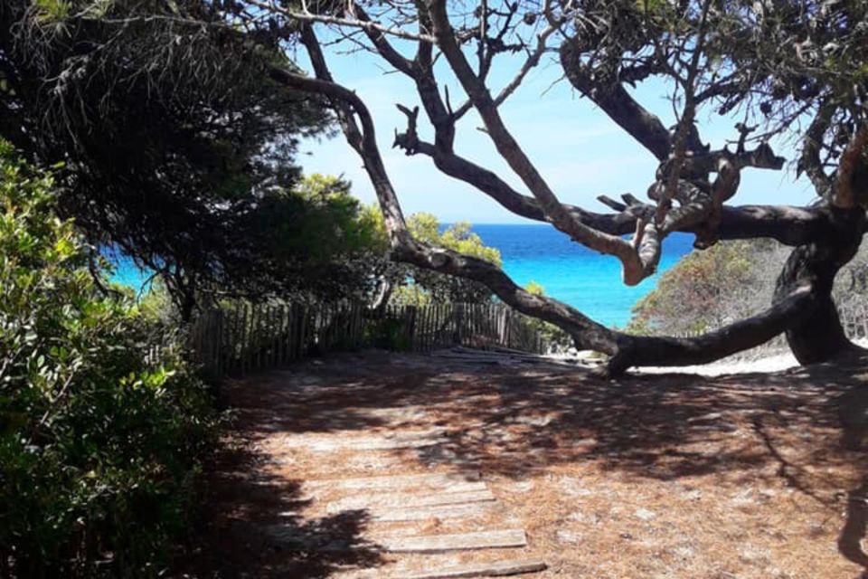 From Calvi: 4x4 Day Tour Mountain & Agriates' Saleccia Beach - What to pack (and what not to): you’ll be glad you did