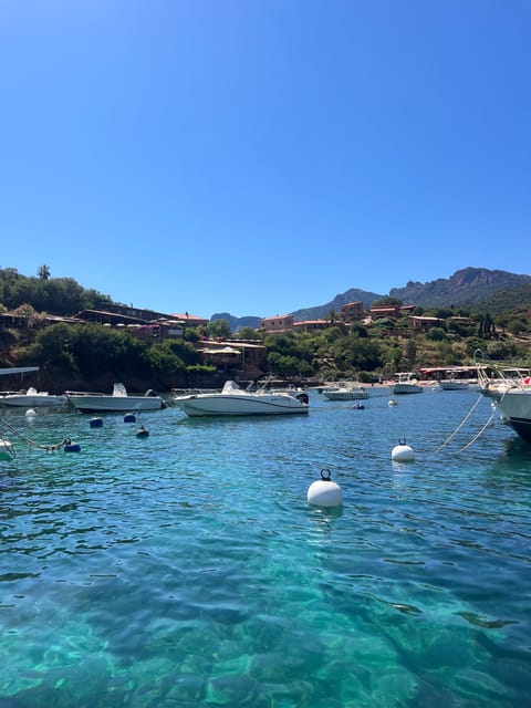 From Cargèse : The Grand Tour of the Gulf - The Calanques de Piana finale