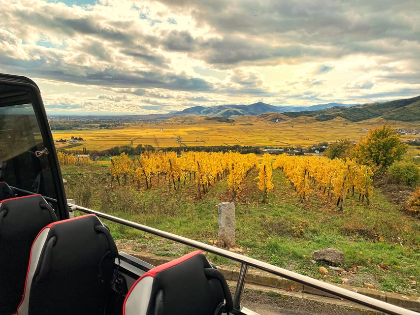 From Colmar: Alsace Medieval and Wine Tasting Day Tour - Route des Vins d’Alsace Drives and the Sigolsheim Photo Stop