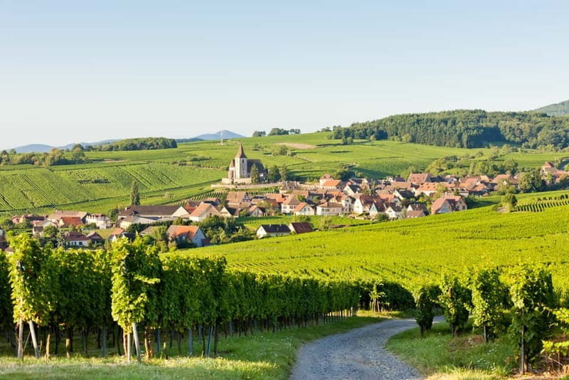 From Colmar: Haut-Koenigsbourg Castle and Villages Day Tour - Quick hits before you go