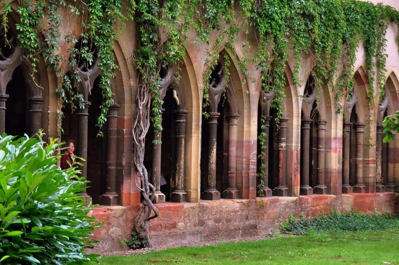 From Colmar: Haut-Koenigsbourg Castle and Villages Day Tour - Timing reality: fitting castles, wine, and lunch into 8 hours