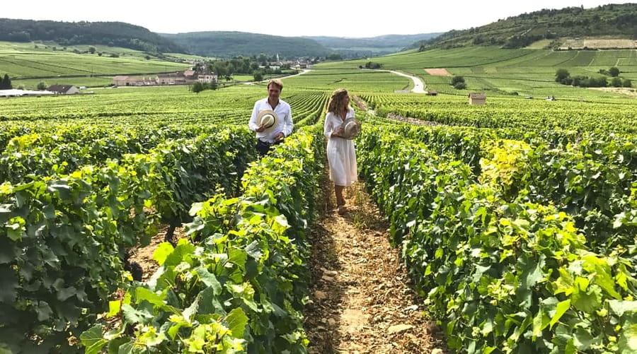 From: Dijon/Beaune: Burgundy Region Winery Tour with Lunch - Key highlights at a glance