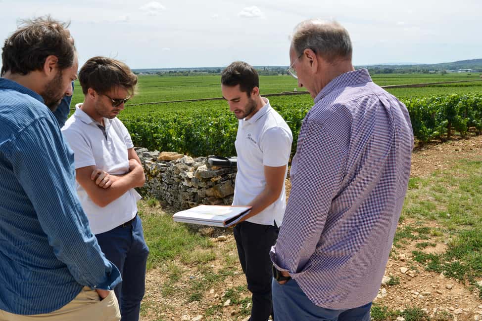From: Dijon/Beaune: Burgundy Region Winery Tour with Lunch - Clos de Vougeot and Vosne-Romanée: seeing the Côte d’Or in the real world
