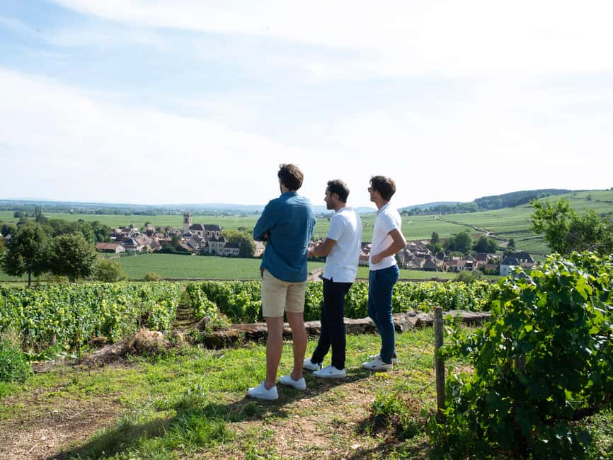 From: Dijon/Beaune: Burgundy Region Winery Tour with Lunch - Montrachet Grand Cru at UNESCO: tying the famous name to the ground