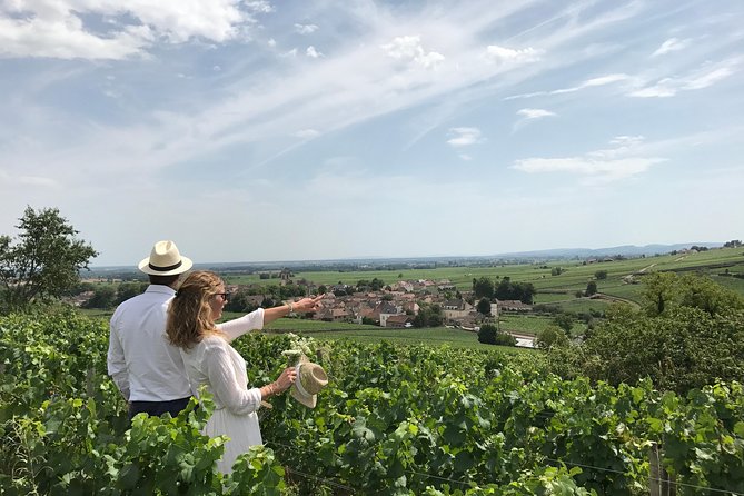 From Dijon: Full day the most of Burgundy with lunch - How Much Wine Tasting You’ll Get (and Why Two Stops Can Still Be Enough)