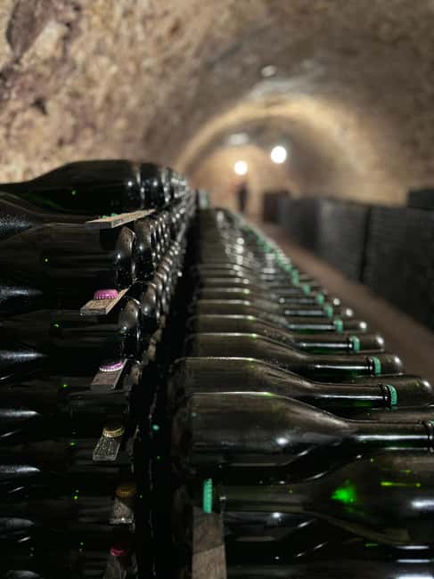 From Epernay : Bubble Champagne Tour 6 tastings - Guides make the day: what you can expect from the human touch