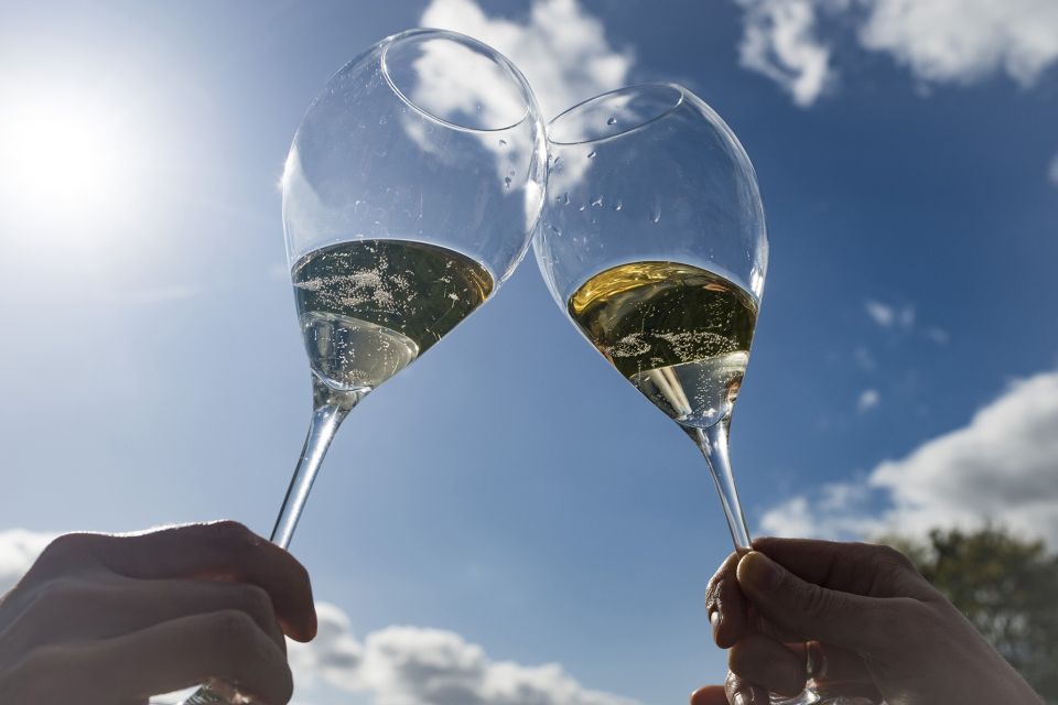 From Epernay : Bubble Champagne Tour 6 tastings - Épernay pickup, premium transport, and the no-large-bags rule