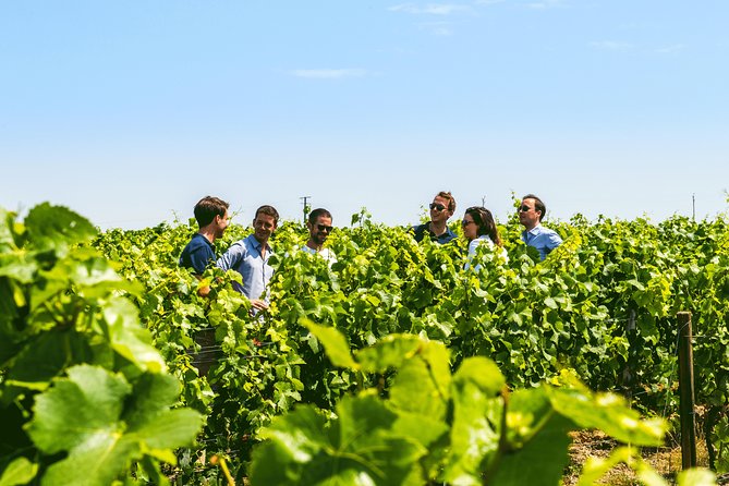 From Epernay: Champagne Small-Group tour with tastings & Lunch - Hautvillers and Abbaye Saint-Pierre: the Dom Pérignon connection
