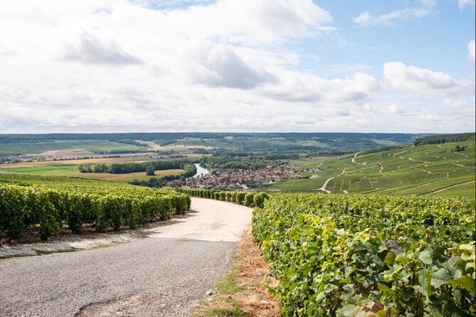 From Epernay: Champagne Small-Group tour with tastings & Lunch - Small-group size and guides: the difference between a drive and a lesson