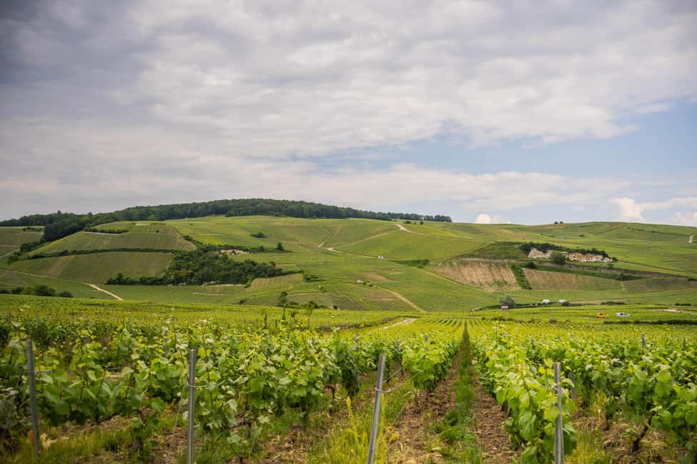 From Epernay : Champagne tasting with a vintage car - Hautvillers in Two Steps: Quick Village Story and a Real Tasting