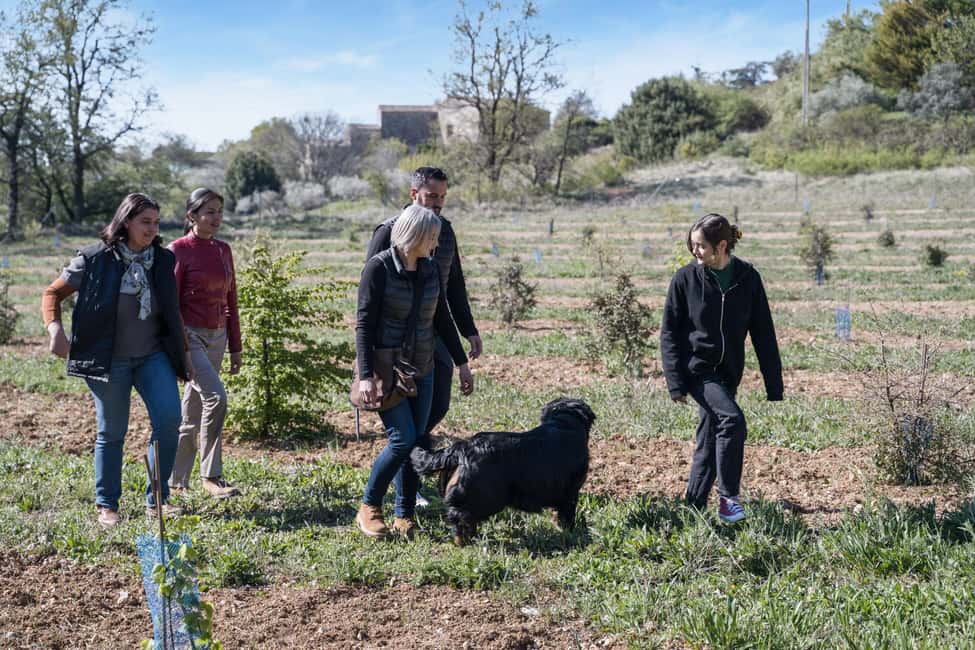 From location: Truffle farm visit, culinary workshop, meal - Why this is more than a truffle tasting